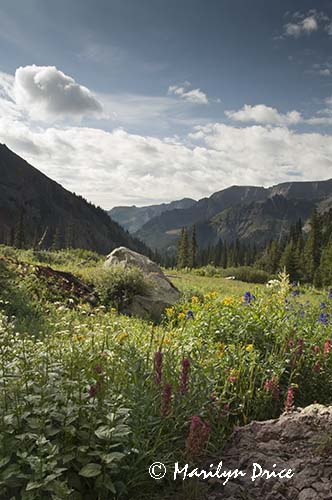 Looking down the valley, Yankee Boy Basin, near Ouray, CO