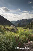 Looking down the valley, Yankee Boy Basin, near Ouray, CO