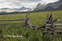 Sneffels Range from Last Dollar Road, near Ridgway, CO