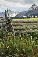 Sneffels Range from Last Dollar Road, near Ridgway, CO