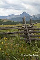 Sneffels Range from Last Dollar Road, near Ridgway, CO