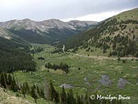 View from a viewpoint near Independence Pass, CO