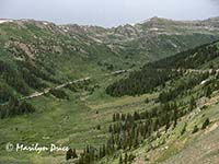 View from a viewpoint near Independence Pass, CO