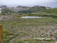 View from Independence Pass, CO