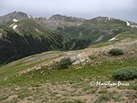 View from Independence Pass, CO