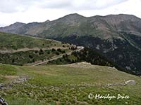 View from Independence Pass, CO