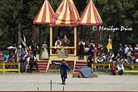 Ready for the joust, Colorado Renaissance Festival, Larkspur, CO