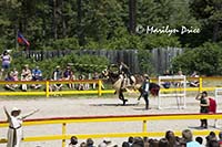 Introducing the contestants for the joust, Colorado Renaissance Festival, Larkspur, CO