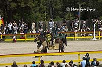 All suited up for the joust, Colorado Renaissance Festival, Larkspur, CO