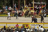 The joust degenerates into a melee, Colorado Renaissance Festival, Larkspur, CO