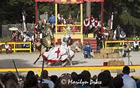 Jousting, Colorado Renaissance Festival, Larkspur, CO