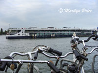 Avalon Vista (our ship) at dock, Amsterdam, Netherlands