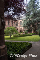 Garden area of the cathedral cloister, Mainz, Germany