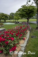 Gardens in a park, Interlaken, Switzerland