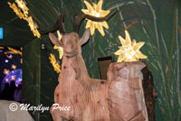 Mountain goats and edelweiss, Ice Experience, Jungfraujoch, Switzerland