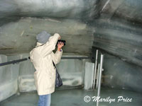 Marilyn shooting statues, Ice Castle, Jungfraujoch, Switzerland