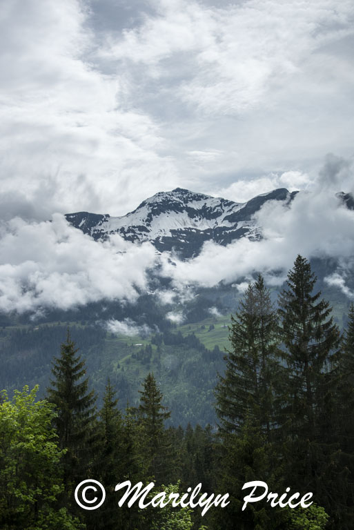 Cloud shrouded mountains, Wengen, Switzerland