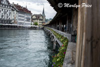 Petunias in planter boxes line the outside wall of Chapel Bridge, part of former city defenses, Lucerne, Switzerland