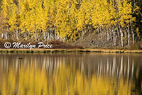 Autumn aspens reflected in Crystal Lake, San Juan Mountains, CO