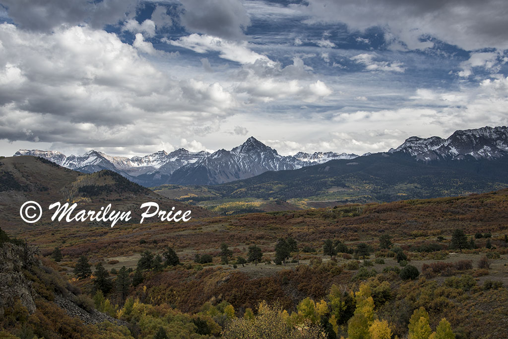 Autumn aspens and the Sneffels Range, Dallas Divide, San Juan Mountains, CO