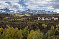 Autumn aspens and the Sneffels Range, Dallas Divide, San Juan Mountains, CO