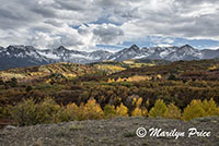 Autumn aspens and the Sneffels Range, Dallas Divide, San Juan Mountains, CO