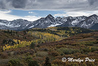 Autumn aspens and the Sneffels Range, Dallas Divide, San Juan Mountains, CO