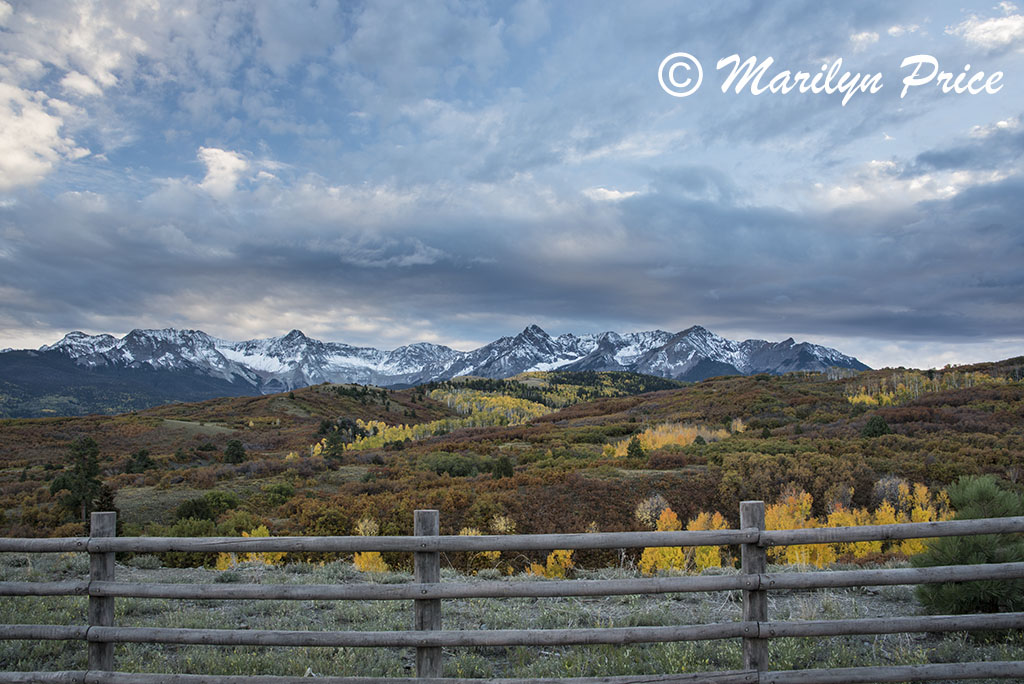 Autumn aspens and the Sneffels Range, Dallas Divide, San Juan Mountains, CO