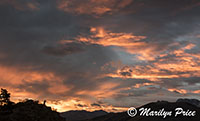 Sunrise over the Sneffels Range, Dallas Divide, San Juan Mountains, CO