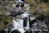 Waterfall, Uncompahgre River, near the entrance to Engineer Pass road, San Juan Mountains, CO