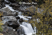 Waterfall, Uncompahgre River, near the entrance to Engineer Pass road, San Juan Mountains, CO