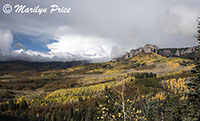 Autumn aspen and rocky ridge, Owl Creek Pass, San Juan Mountains, CO