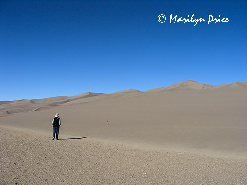 Marilyn approaches a dune, Great Sand Dunes National Park, CO