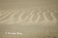 Patterns of different colors of sand, Great Sand Dunes National Park, CO