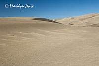 The dunefield, Great Sand Dunes National Park, CO