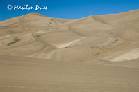 Different colors of sand in the dunes, Great Sand Dunes National Park, CO