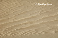 Patterns of different colors of sand, Great Sand Dunes National Park, CO