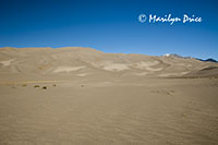 Dunes, Great Sand Dunes National Park, CO