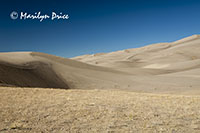 Dunes, Great Sand Dunes National Park, CO