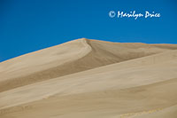 Dunes, Great Sand Dunes National Park, CO