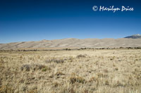 Grassy prairie, dune field, and Sangre de Cristo Mountains, Great Sand Dunes National Park, CO