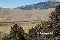 Dunes and Medano Creek from the Montville Loop Trail, Great Sand Dunes National Park, CO