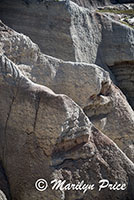 Big Badlands Overlook, Badlands National Park, SD