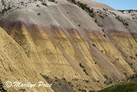 Yellow Mounds Overlook, Badlands National Park, SD