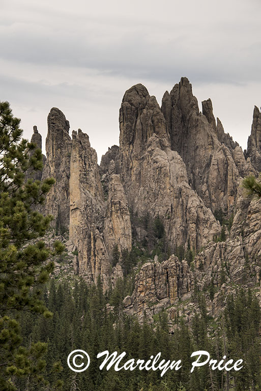 Cathedral Spires, Custer State Park, SD