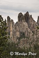 Cathedral Spires, Custer State Park, SD