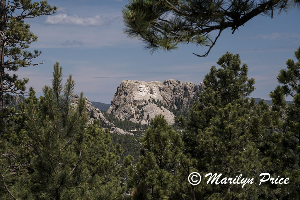 Mount Rushmore from Iron Mountain Highway, Custer State Park, SD