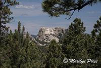 Mount Rushmore from Iron Mountain Highway, Custer State Park, SD