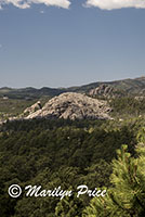 Iron Mountain Highway, Custer State Park, SD