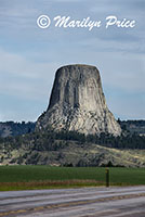 Devil's Tower, Devil's Tower National Monument, WY